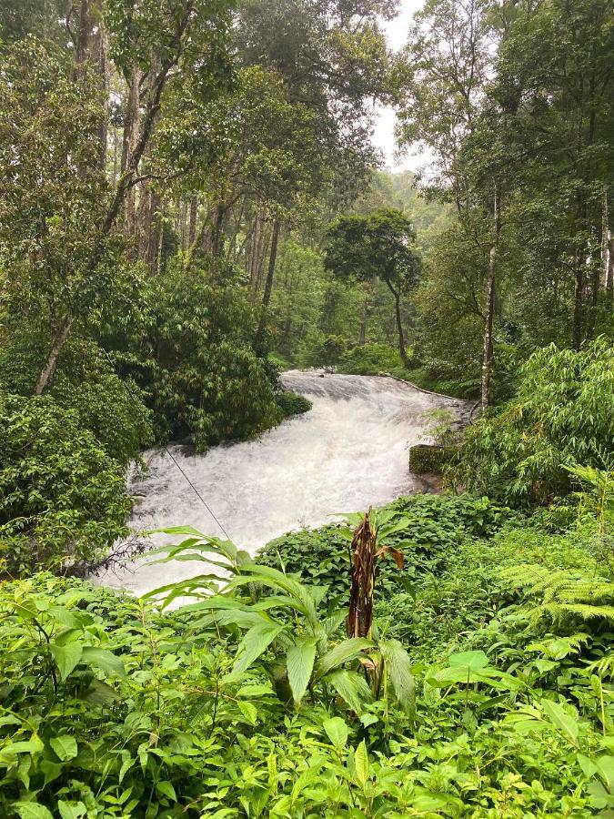 Flower Valley Plantation Homestay Munnar Exterior foto