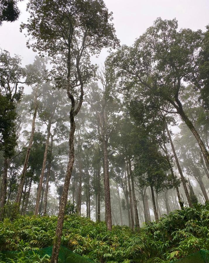 Flower Valley Plantation Homestay Munnar Exterior foto